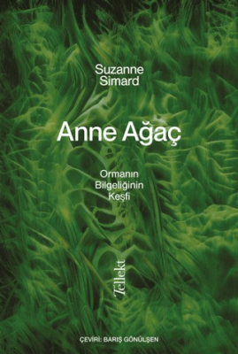 Anne Ağaç - 1