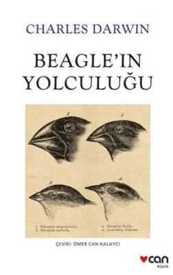 Beagle`ın Yolculuğu - 1