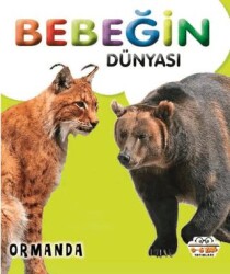 Bebeğin Dünyası Ormanda - 1