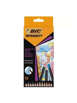 Bic intensıity Aquacouleur Kuru Sulu Boya 12 Renk - 1