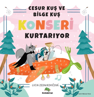 Cesur Kuş ve Bilge Kuş Konseri Kurtarıyor - 1