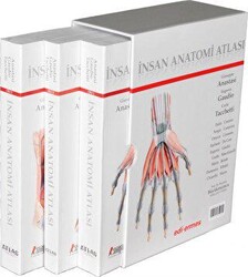 İnsan Anatomisi Atlası 3 Cilt Takım - 1