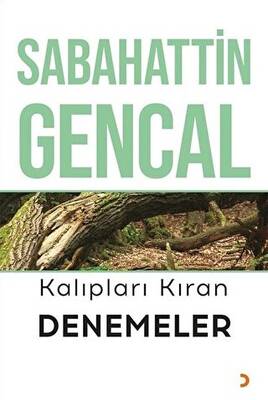 Kalıpları Kıran Denemeler - 1