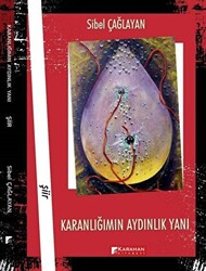 Karanlığımın Aydınlık Yanı - 1