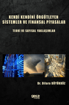 Kendi Kendini Örgütleyen Sistemler ve Finansal Piyasalar : Teori ve Sayısal Yaklaşımlar - 1