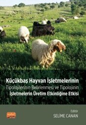 Küçükbaş Hayvan İşletmelerinin Tipolojilerinin Belirlenmesi ve Tipolojinin İşletmelerin Üretim Etkinliğine Etkisi - 1