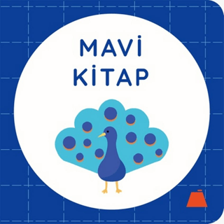 Mavi Kitap - 1