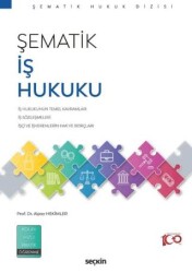 Şematik İş Hukuku - 1