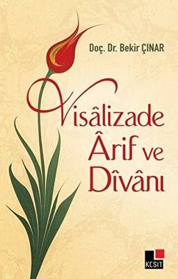 Visalizade Arif ve Divanı - 1