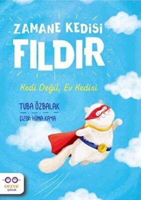 Zamane Kedisi Fıldır - Kedi Değil, Ev Kedisi - 1